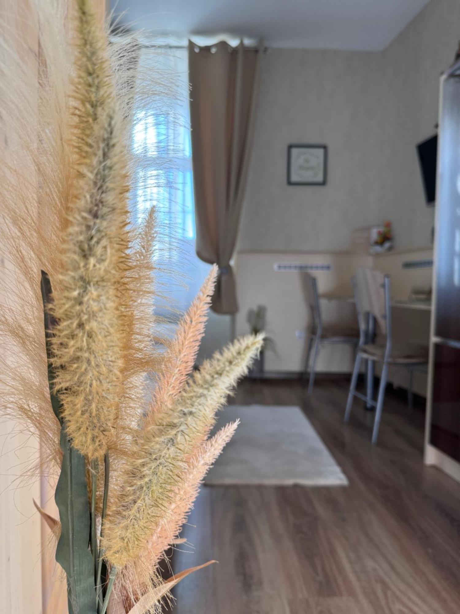 Safit-Mandala Apartment Mosonmagyarovar Exterior photo
